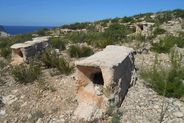 Miel de Ibiza: el sabor más dulce de la isla