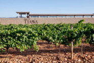 Tianna Negre y Dos Trazos firman una noche para saborear Mallorca entre viñedos y estrellas