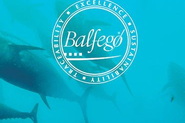 Balfegó. Del ibérico del mar, hasta los nadares