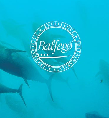 Balfegó. Del ibérico del mar, hasta los nadares
