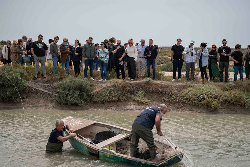 Despesques 2024 arranca en la bahía de Cádiz