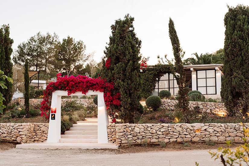 4 Chefs, un Menú de Altura: Una experiencia gastronómica inolvidable en Can Domo Ibiza