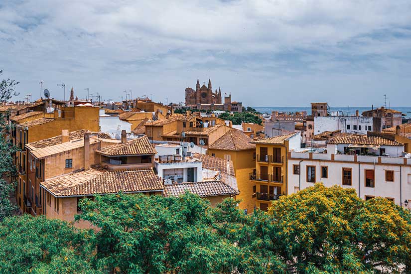 Los 10 MEJORES restaurantes de Santa Catalina