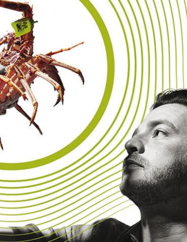 Pescados Consuelo y Pardalet. El latido del mar