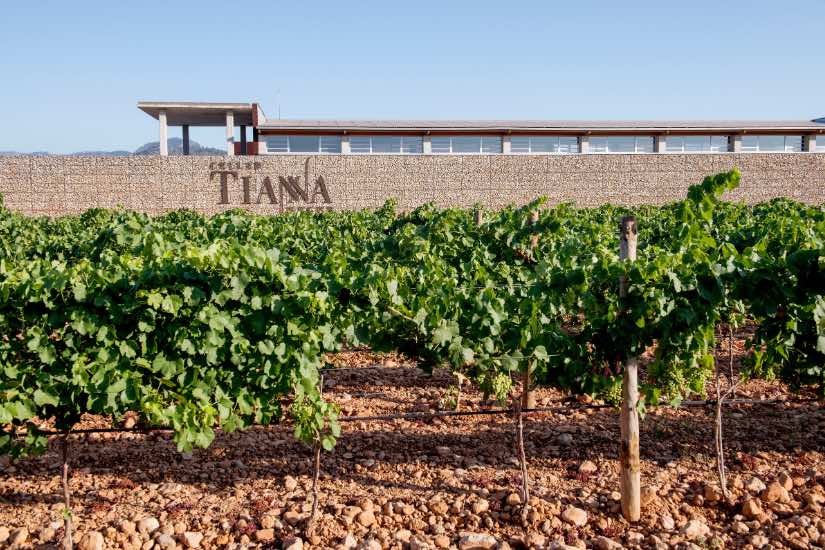 Tianna Negre y Dos Trazos firman una noche para saborear Mallorca entre viñedos y estrellas