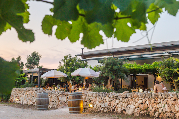 Bodegas Binifadet