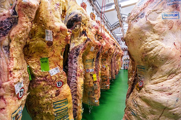 Carne de vacuno. Discarlux