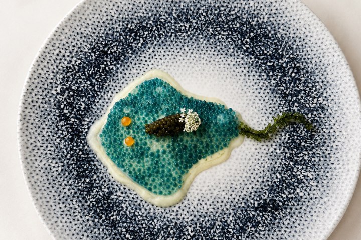 Plato de Fernando Arellano