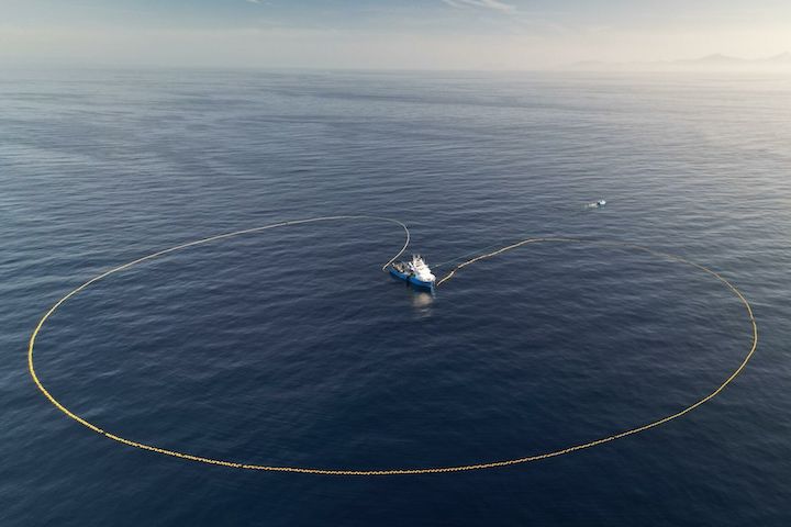 Captura de atún rojo con redes. Balfegó
