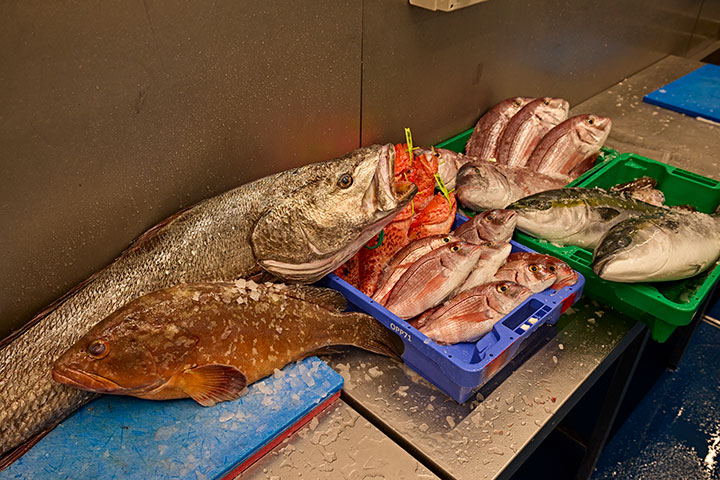 Pescado fresco. Hermanos Meneghello, Ibiza