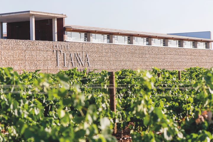 Celler Tianna Negre