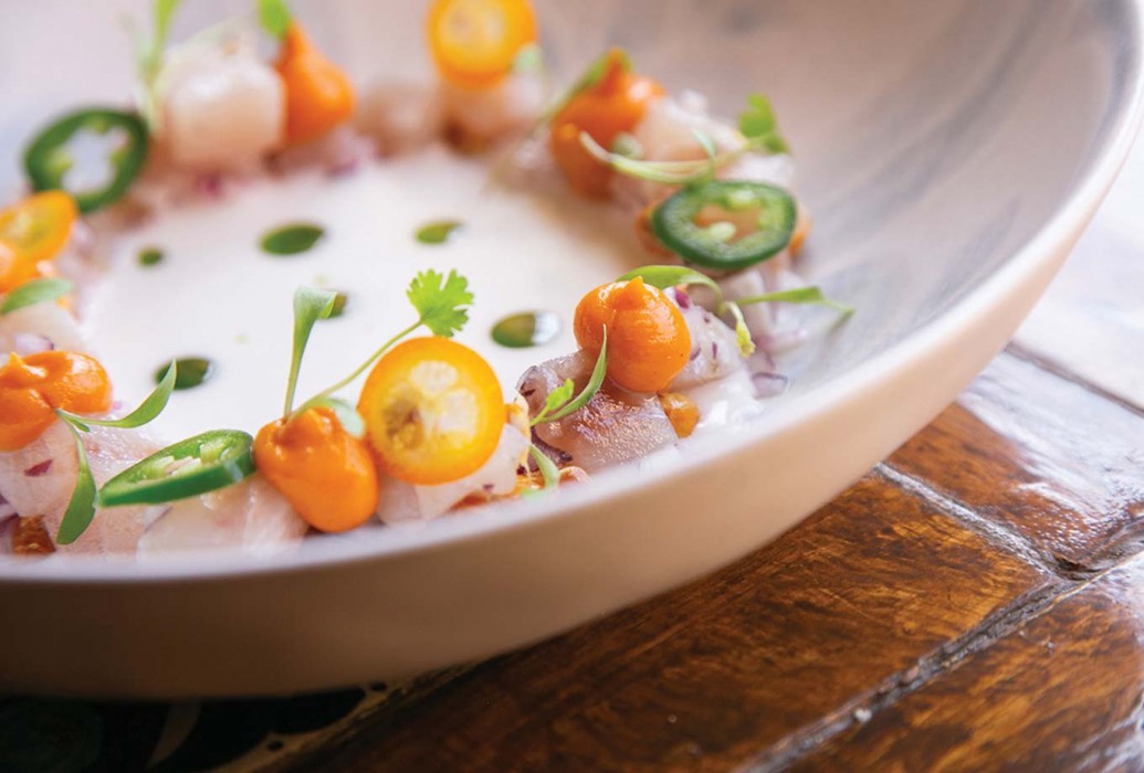 Ceviche. Shamarkanda Ibiza Restaurant Ceviche. Shamarkanda Ibiza Restaurant