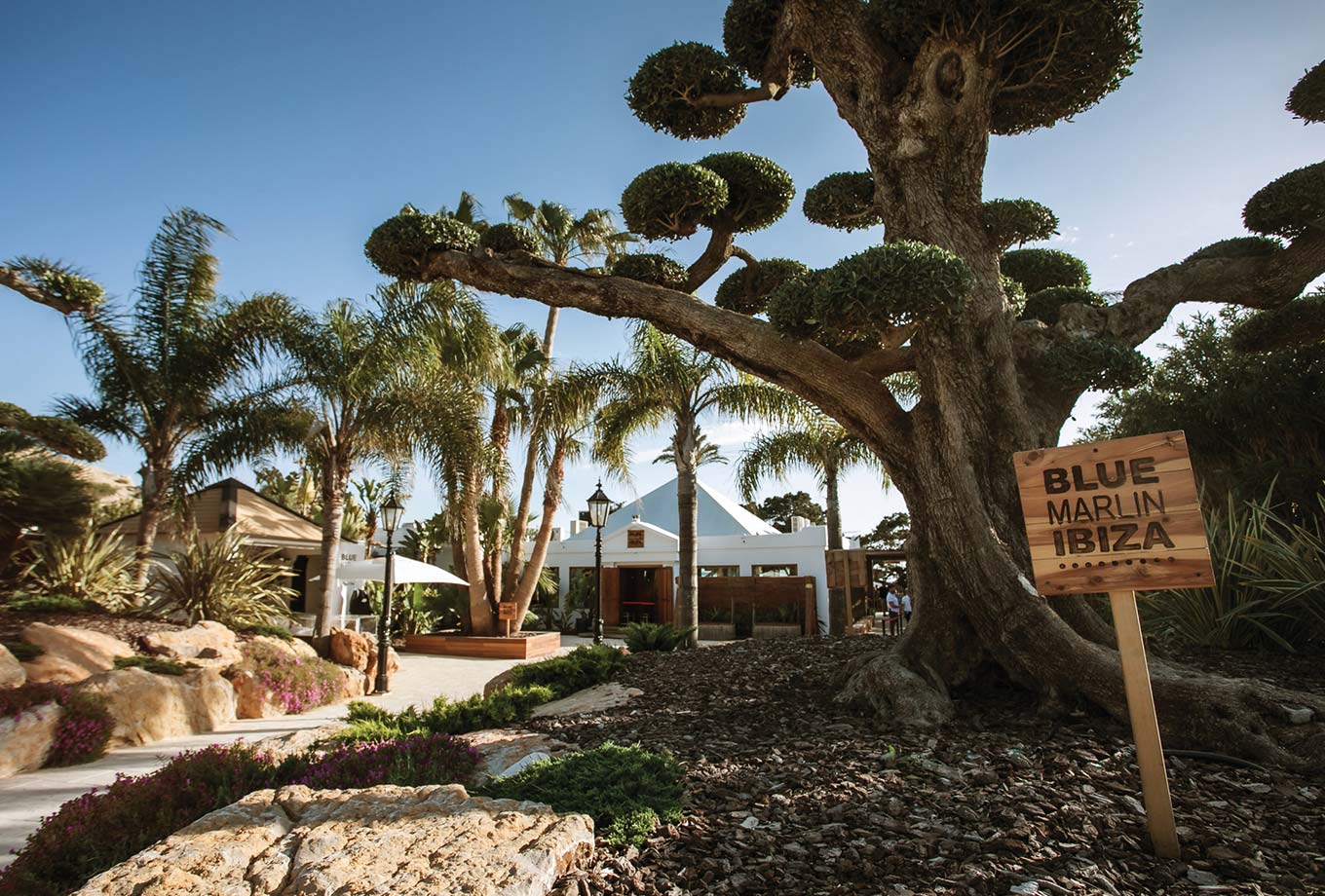 Blue Marlin Ibiza Restaurant Blue Marlin Ibiza Restaurant