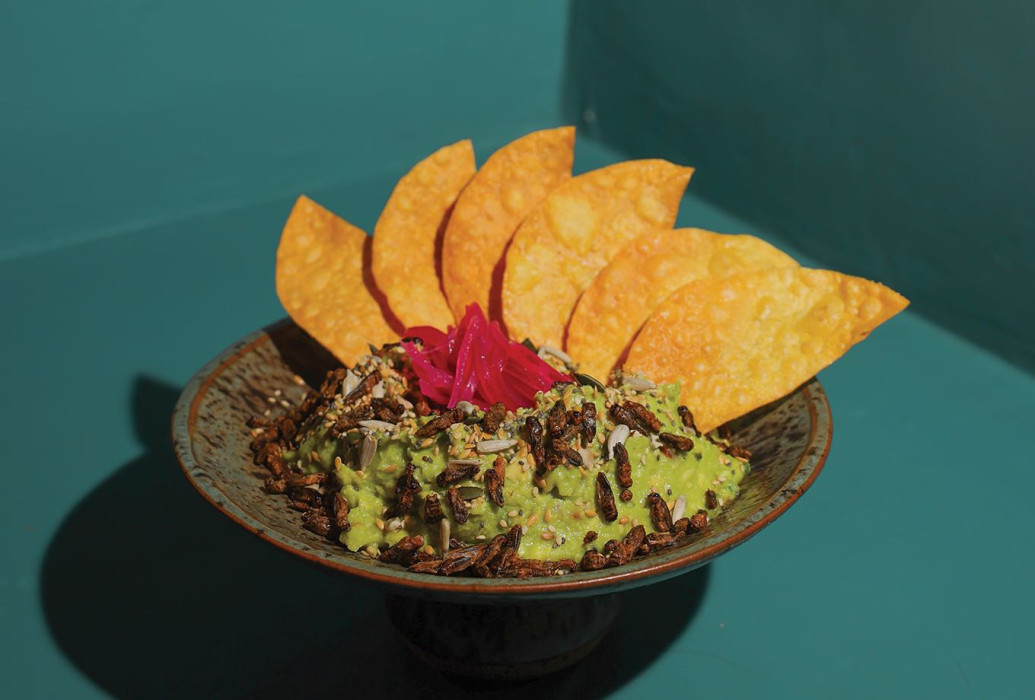 Guacamole con chapulines. Restaurante PaloSanto Ibiza