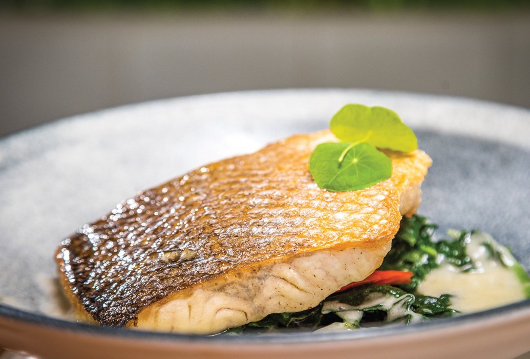 Grilled sea bass loin, garlic sauce and spinach. Chalet Siena restaurant, Palma de Mallorca Grilled sea bass loin, garlic sauce and spinach. Chalet Siena restaurant, Palma de Mallorca