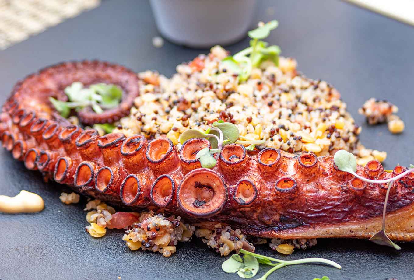 Octopus with quinua. Bikkini Beach Restaurant, Palma de Mallorca Octopus with quinua. Bikkini Beach Restaurant, Palma de Mallorca