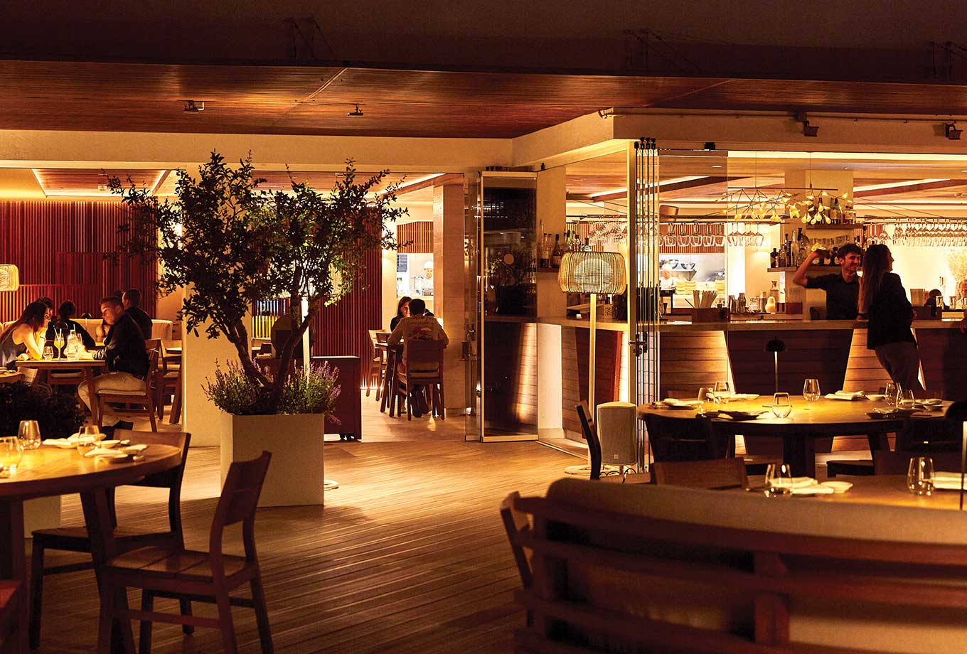 Restaurant Nobu, Ibiza Restaurant Nobu, Ibiza
