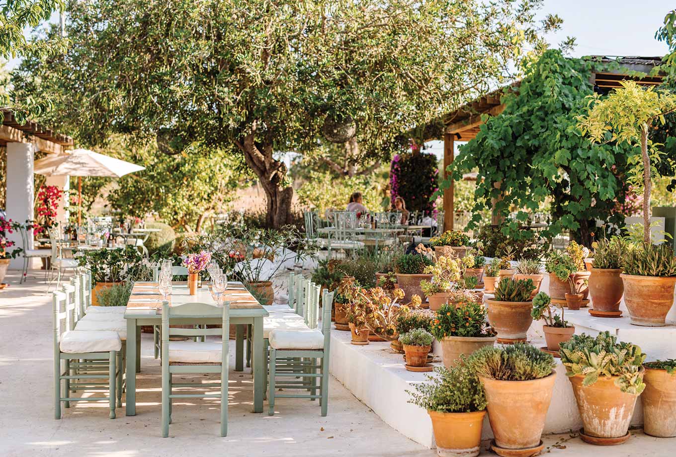 Aubergine by Atzaró Restaurant. Ibiza Aubergine by Atzaró Restaurant. Ibiza