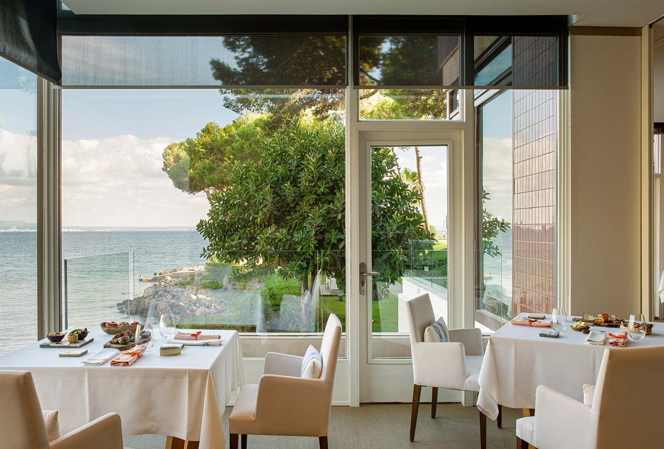 Arrels by Marga Coll Arrels by Marga Coll