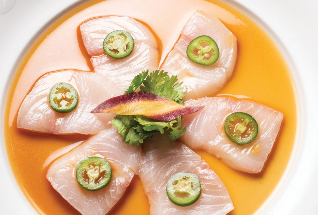 Yellowrail Sashimi . Nobu Restaurant, Ibiza