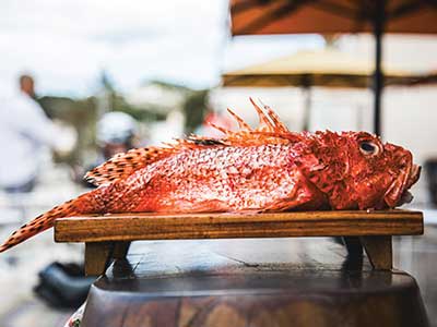 BOOKING | VILLA LUISA SÓLLER RESTAURANT | Mallorca | FacefoodMag